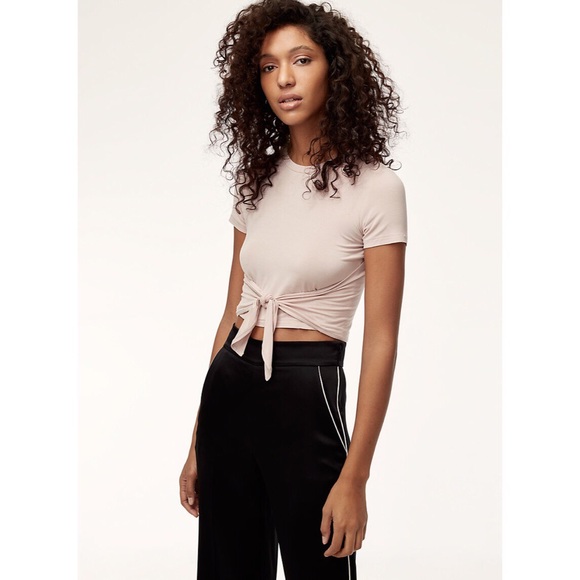 Aritzia Tops - Wilfred Ange tee